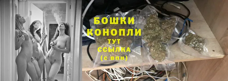 darknet клад  как найти закладки  Новое Девяткино  Бошки Шишки план 